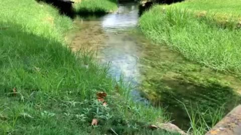 Streaming Creek | Sounds for Sleep, Relaxation and Meditation | 1 Hour