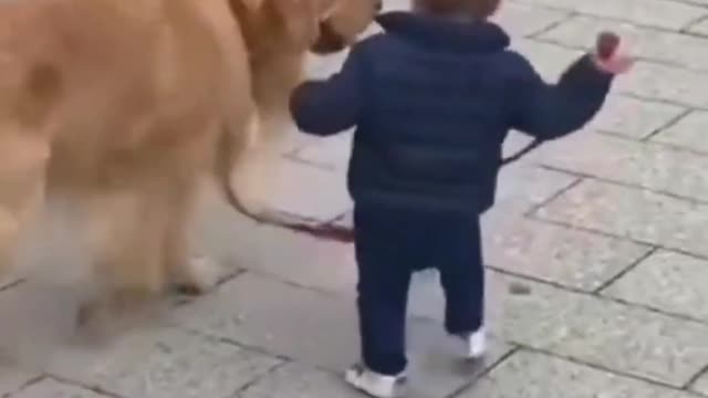 Cute little baby and his puppy on adventure