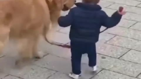 Cute little baby and his puppy on adventure