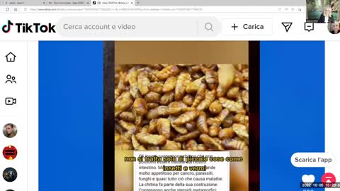E dopo gli insetti arriva...