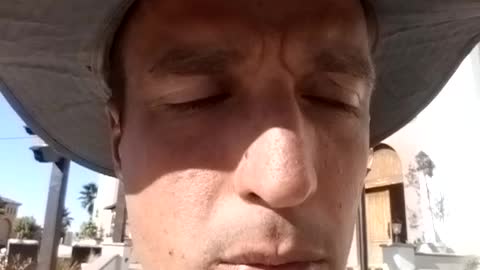 Every GECKO Solved!! (Epic)