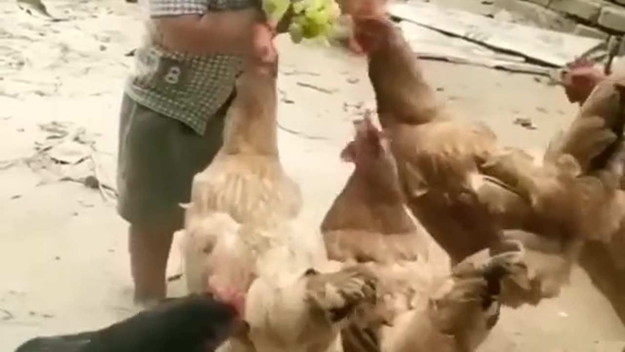 Funny Video/Baby funny video