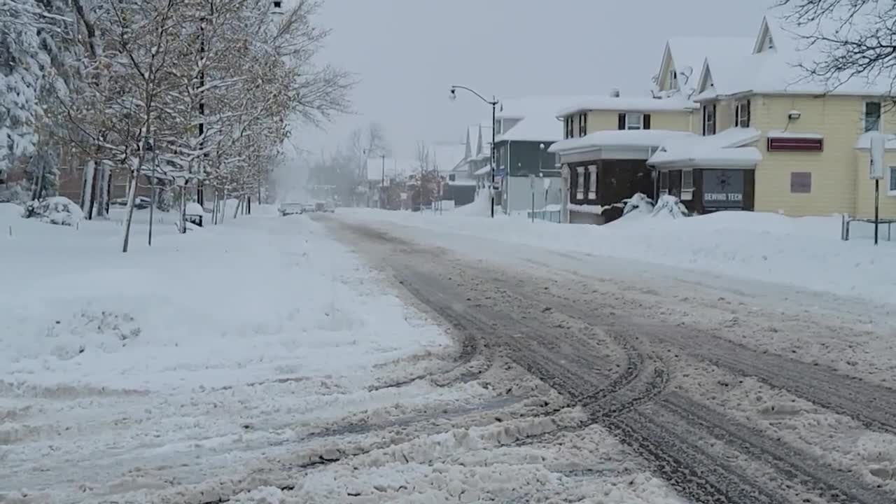 Buffalo buried under snow