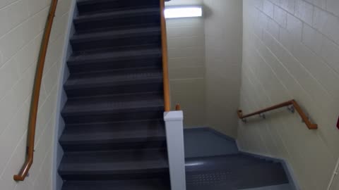 3889FHOB05Stair10_2021-01-06_06h20min01s257ms.mp4