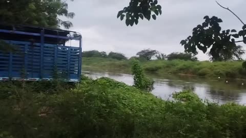 Caño de Terraplén en El Pozón