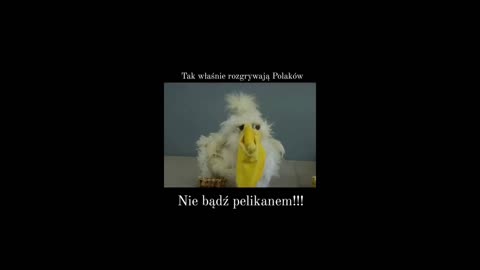 #86 Włącz myślenie - nie bądz pelikanem