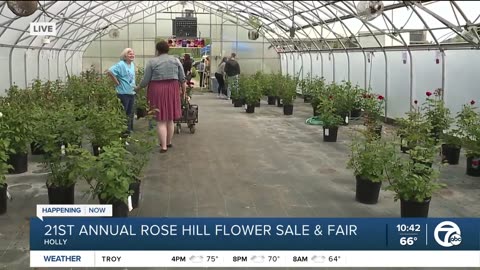 Rose Hill Flower Sale & Fair