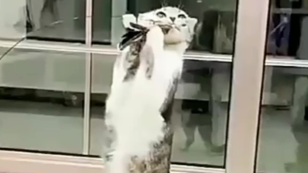 Epoxy Sucker Steel Wire Long Brush Holder Feather Cat Teaser