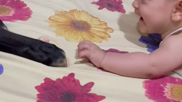 Baby and Dog Have Adorable First Encounter