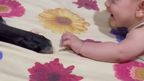 Baby and Dog Have Adorable First Encounter