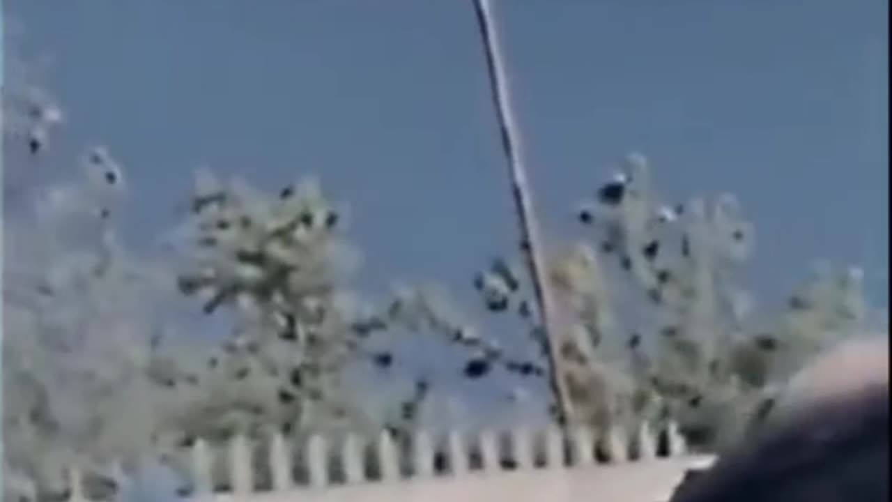 Serbian Dancing lady Real Face 😱😱