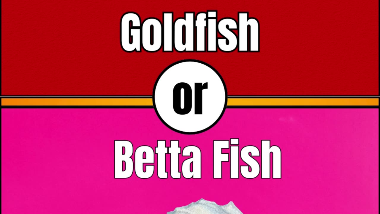 would you rather ? pet