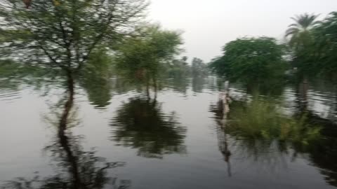 Stuck in same place for 14 hours very tiredRain flooding in Pakistan🌊🌊🌊🌧️🌧️🌧️🌊