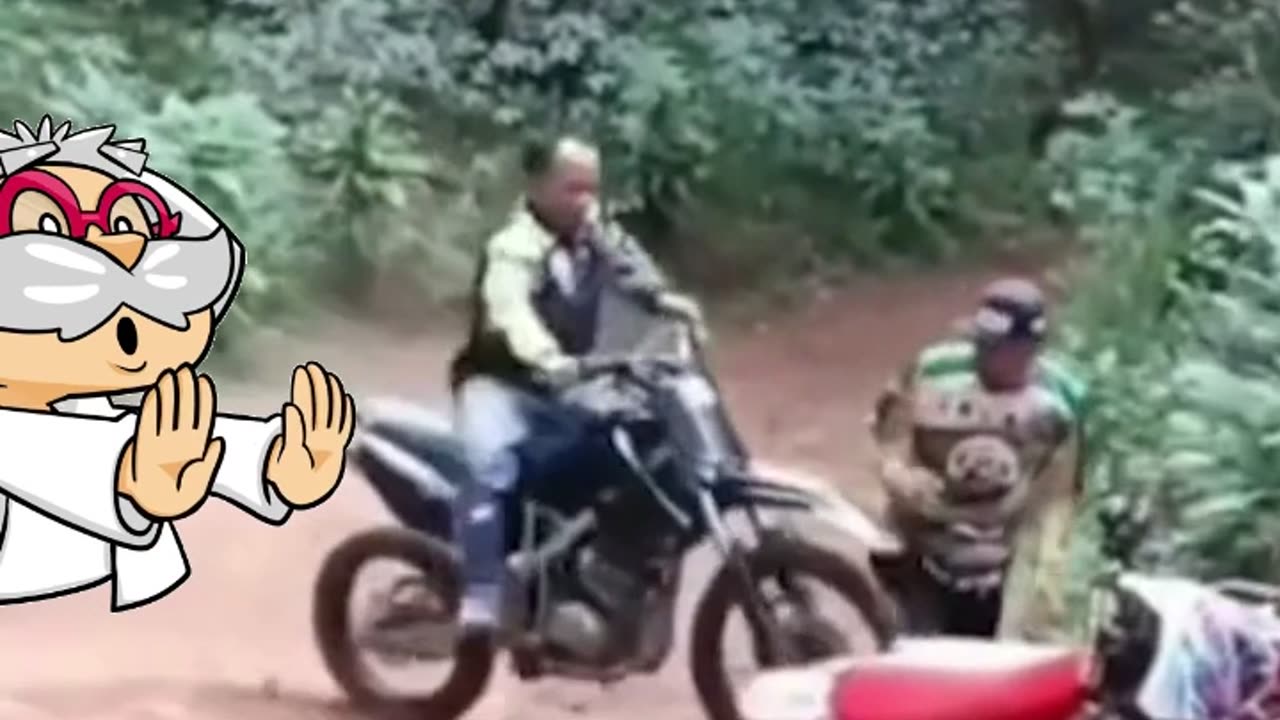 Crazy and Funny Videos!