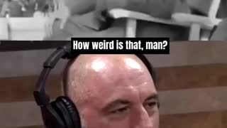Joe Rogan watching Hitler on drugs