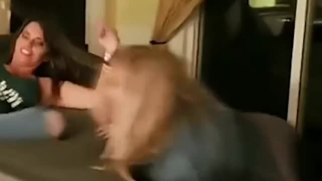 Funny and spectacular video falls