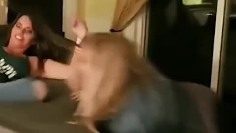Funny and spectacular video falls