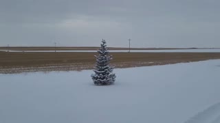 Wintertime 2022