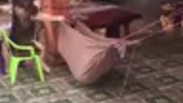 Catch funny things