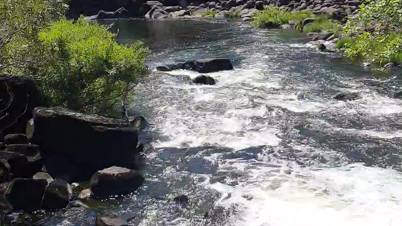 Sounds of the river.