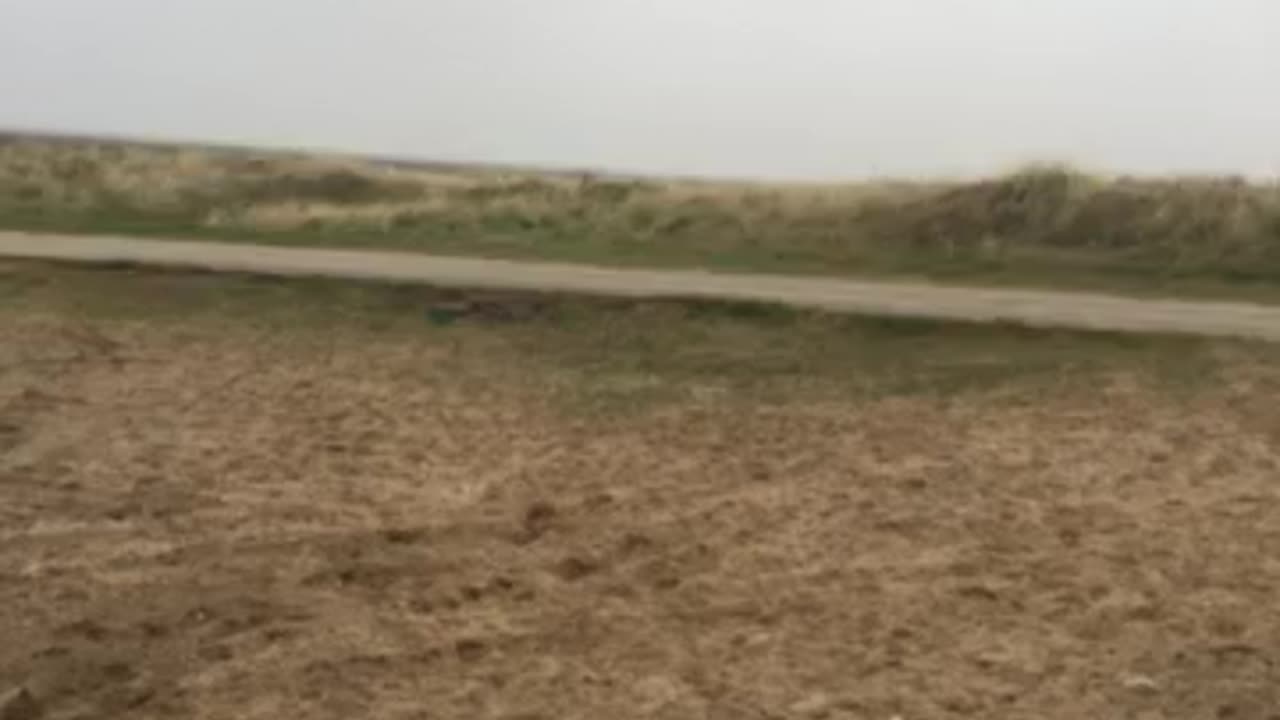 HOW DUMB DO YOU DELUDED CLOWNS 🤡 LOOK NOW