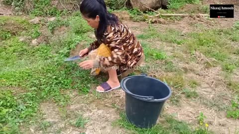 Clean the garden