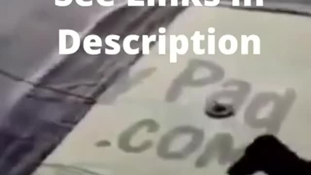 Funny Dog Fails 2022 Cute !