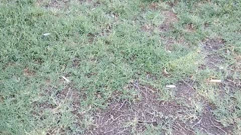 Trying a new approach to life