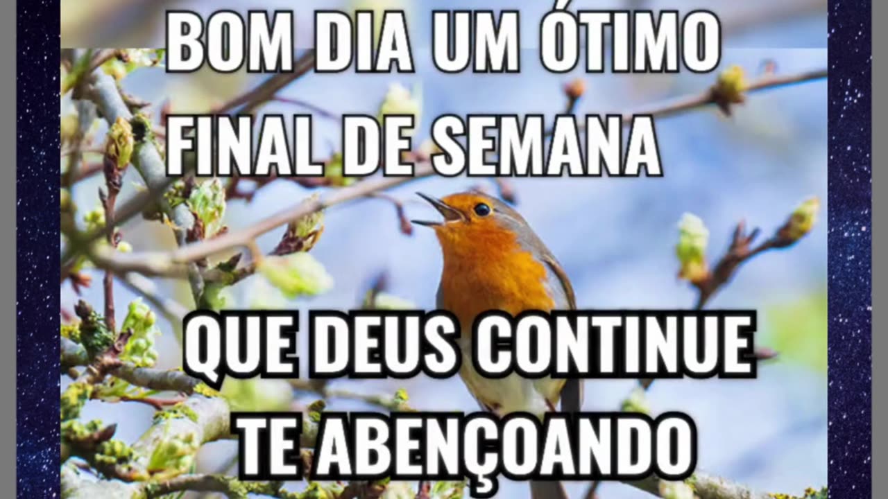 BOA NOITE FELIZ SÁBADO E UM ÓTIMO FINAL DE SEMANA!