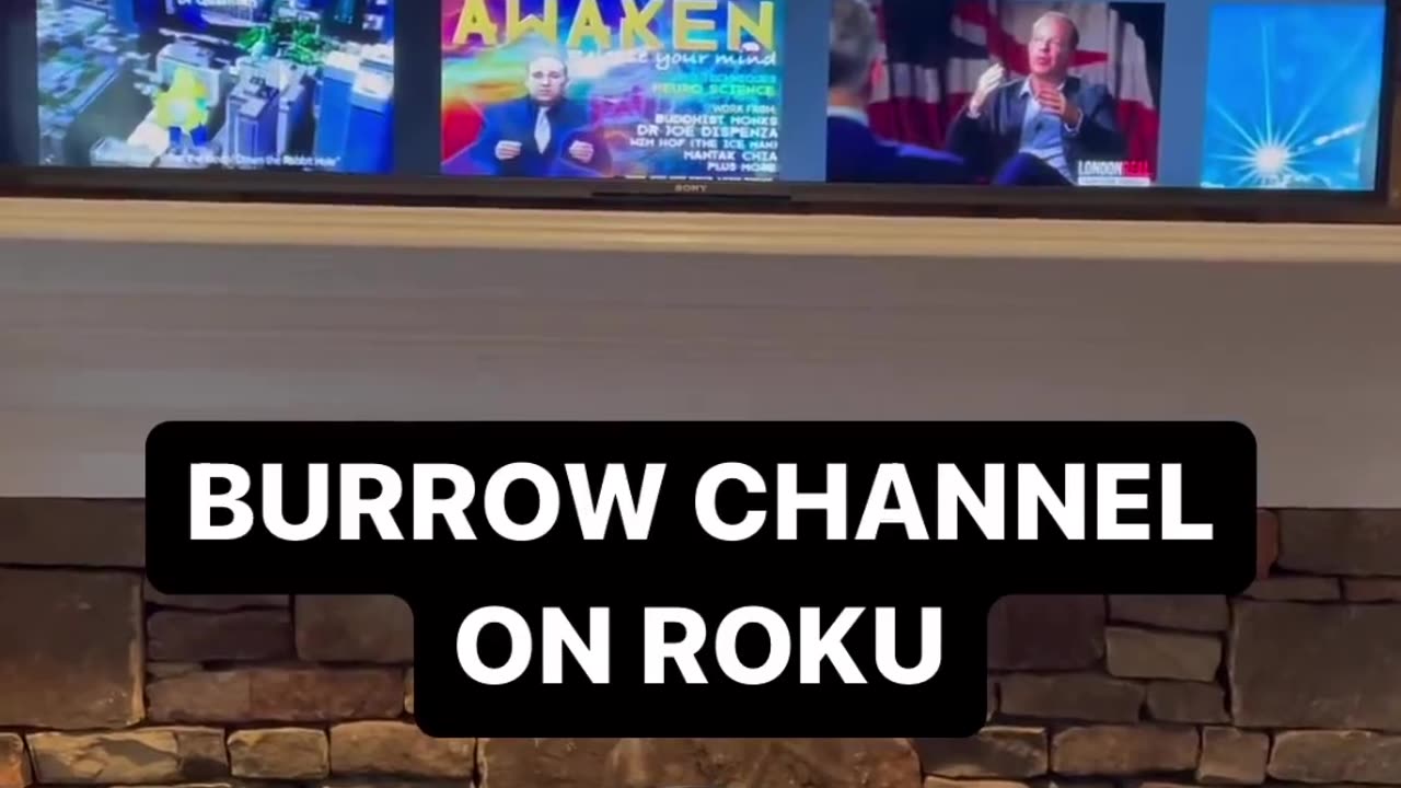 Burrow the rabbit