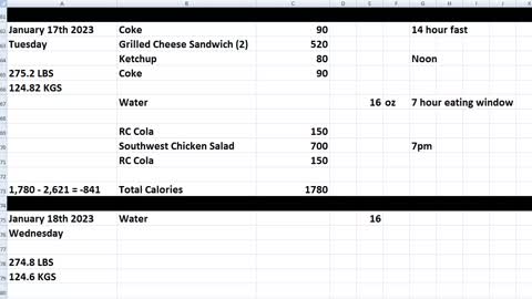 Daily Calorie Count: January 17th