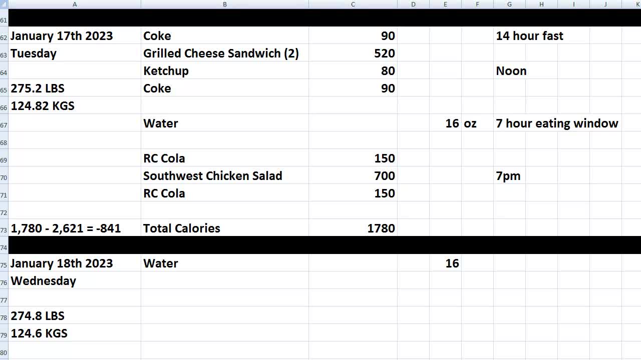 Daily Calorie Count: January 17th