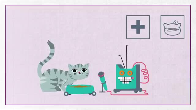 Why do cats meow_ - Whiskas K.I.T._2