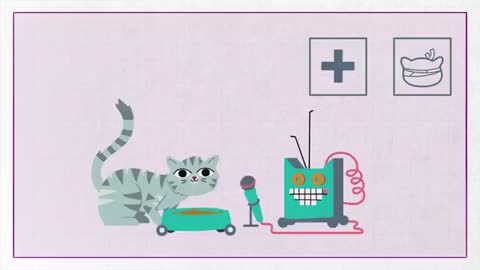 Why do cats meow_ - Whiskas K.I.T._2