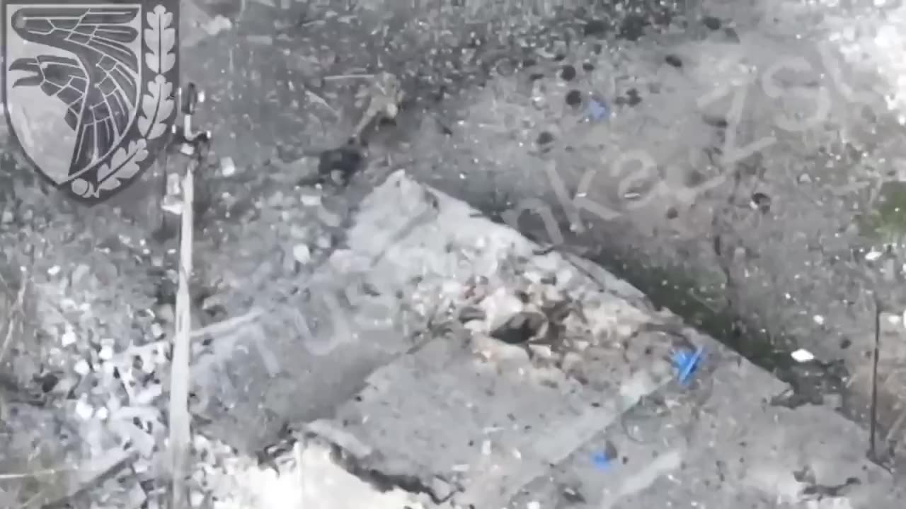 Shelling Russians Trying to Hide in Building