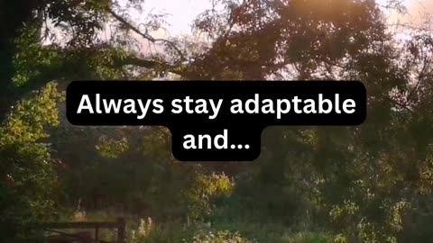 Always stay adaptable