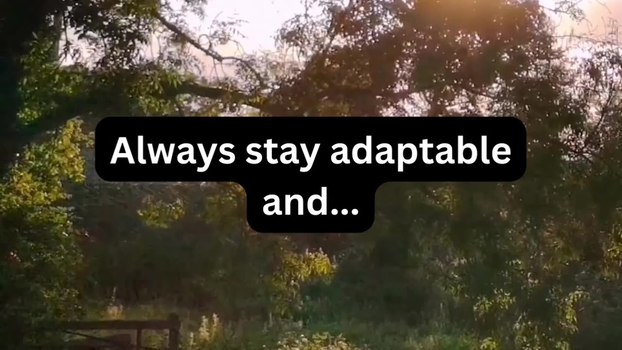 Always stay adaptable