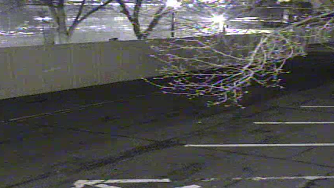 0692QNE001st-ConNE_2021-01-05_01h00min00s050ms.mp4