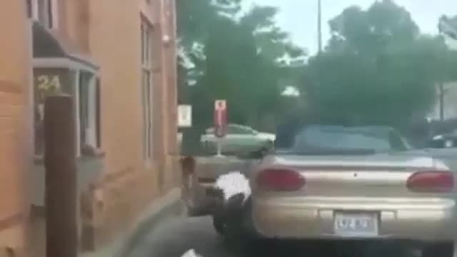 The car can't wait to get something and run first
