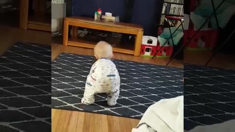 the best baby funny videos..