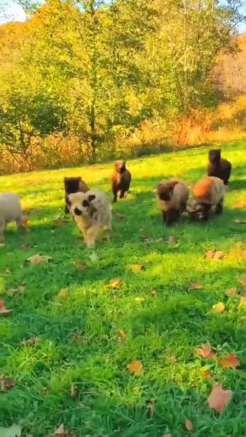 NATURE 🌠 🌠 ✨ IS BEAUTIFUL 😍😍❤️