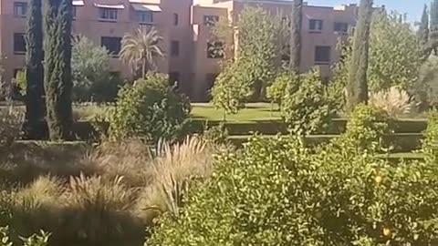 Marrakech