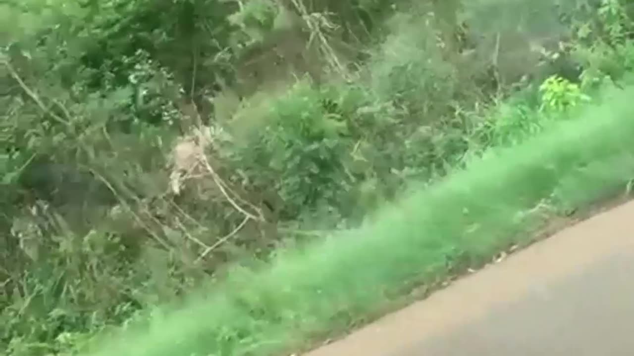 Criminosos do MST rendem policiais militares durante protesto