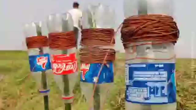 Unbelievable Fishing Trapping System