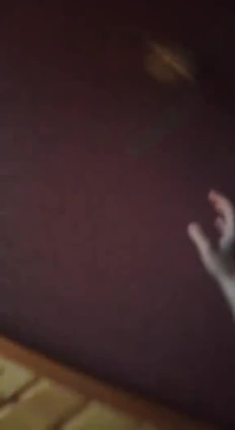 Russian Fighter Jet Fires Missile into Civilian Home