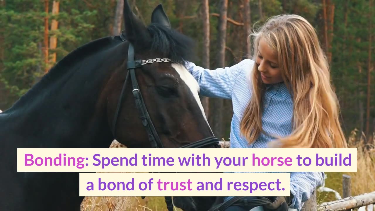 How to care your horse , my sister learn how to give food to her horse