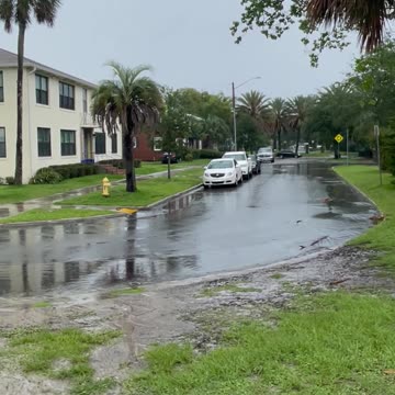 St.Johns River ⛈️🌴Florida