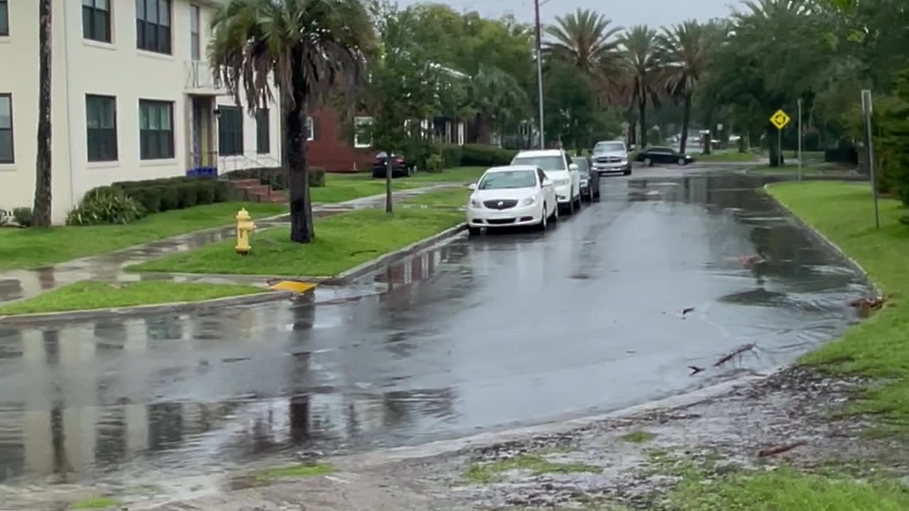 St.Johns River ⛈️🌴Florida