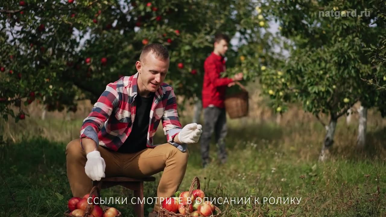 Питание с душой. Продукты от Фролова для здоровой жизни. Изделия из микросфер, шапка.