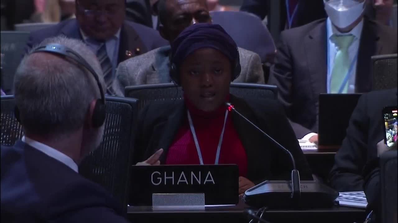 Ten-Year-Old "Climate Activist" Makes Appearance At COP27